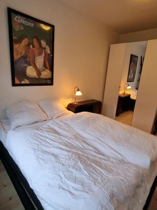 Paen Central Lejlighed Med Gratis Parkering Randers Ngoại thất bức ảnh